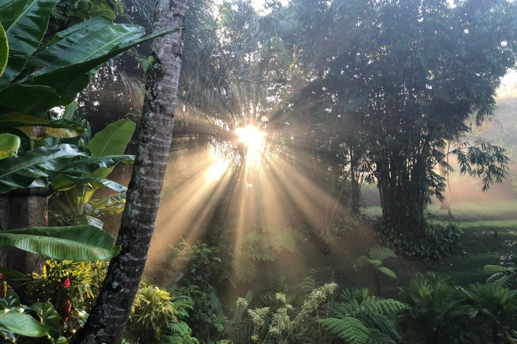 Nicole Rosenberg Ayurveda