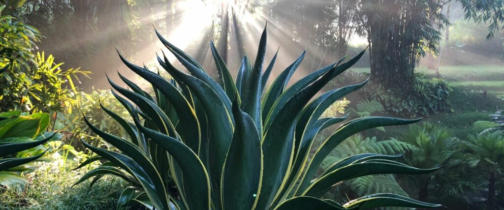 Dr. Nicole Rosenberg Ganzheitliche Allgemeinmedizin